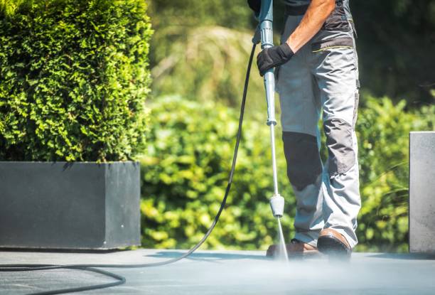 Best Driveway Pressure Washing  in Olivehurst, CA