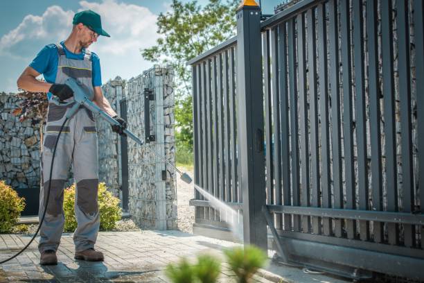 Best Rust Removal  in Olivehurst, CA