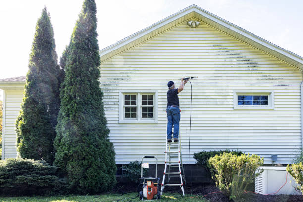 Professional Pressure Washing Services in Olivehurst, CA